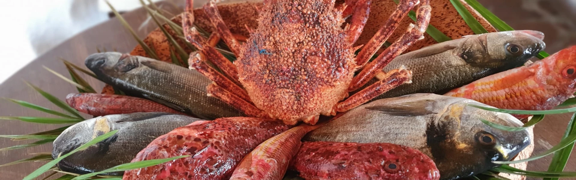Antica Pensione Pinna - Vetrina del Pesce